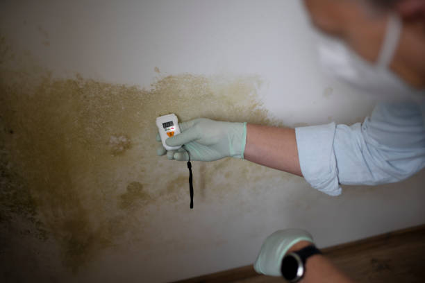 Crawl Space Mold Removal in Schofield Barracks, HI
