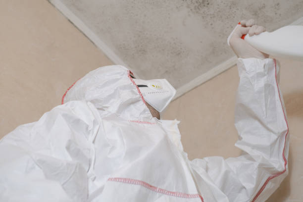 Best Toxic Mold Removal  in Schofield Barracks, HI